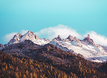 开云：以云为翼，解锁企业新生长